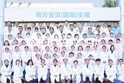 国内代孕公司
